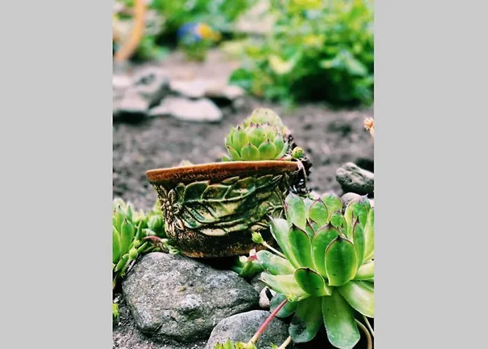 Cute Little House With A White Picket Fence * Burgas City