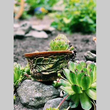 Cute Little House With A White Picket Fence * Burgas