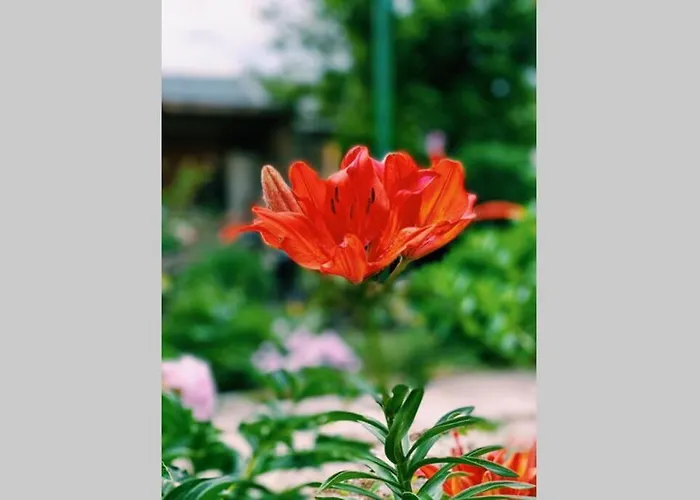 Cute Little House With A White Picket Fence Ваканционна къща